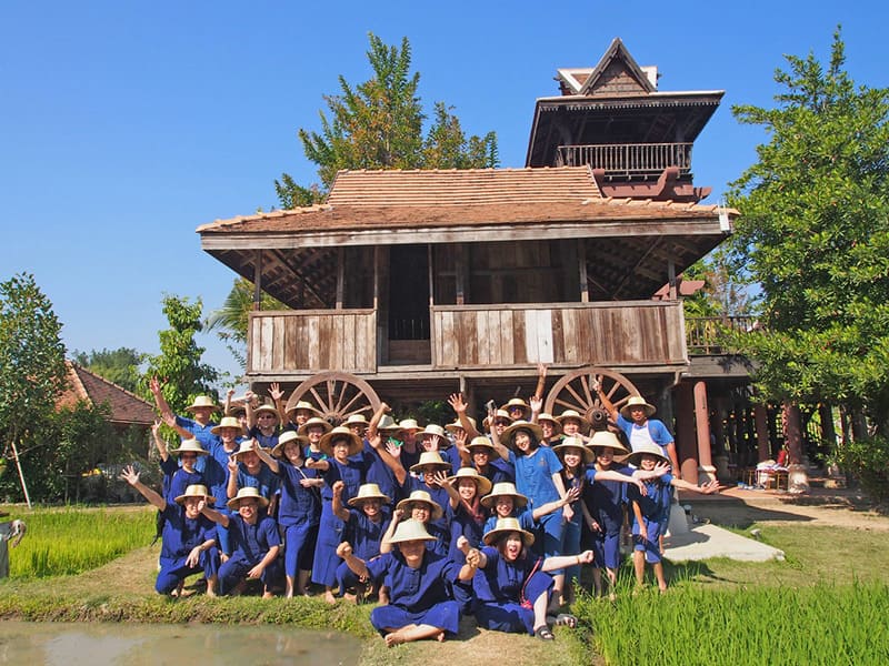 Activitiesดำนา ปลูกข้าว